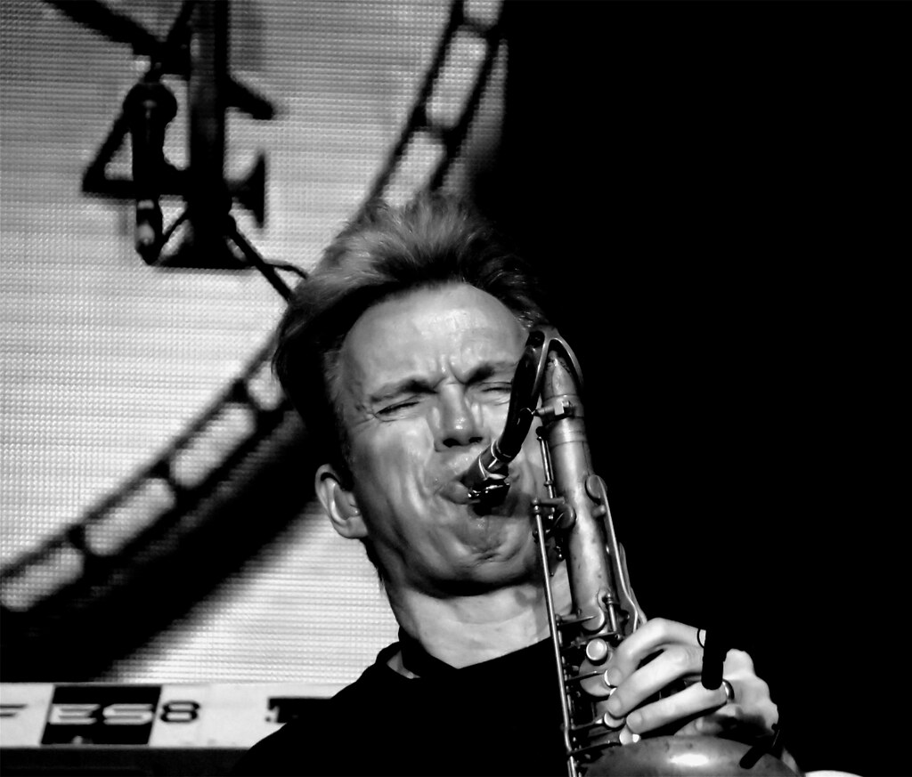 Ray Herrmann Live 2017